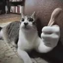 yes