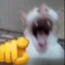 Hahaha HaHaHa Discord Emoji