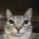 emoji_9