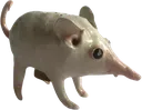 bob