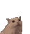 :kittymeowHEARTS: :kittymeowHEARTS: