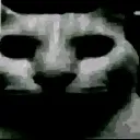 cursed