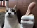thumbsup