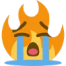 firesobcry