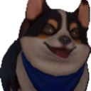 :corgi1: