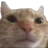 NeutralCat