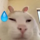 emoji_14 emoji_14
