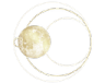 :scher_moon_1_dmr: