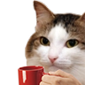 :stare_coffee_dmr: