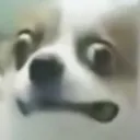 ohno ohno