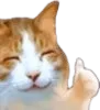 catthumbsup catthumbsup