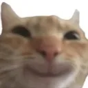 __
