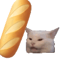BONKBAGUETTE
