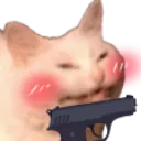 catgun