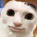 smilecat