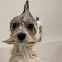 iwillbiteurfuckingassbitch