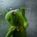 SadKermit SadKermit