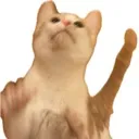 ohmyfuckinggod