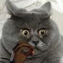 er