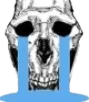 SkullCry SkullCry
