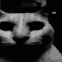 DespairCat
