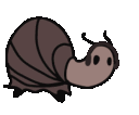 snailjam