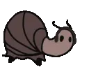 snailjam