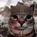 34