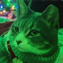 oscar