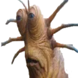 Slug