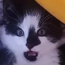 SHOCK