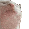 catJAM