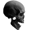 wzm_skullaughing