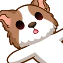 ppuy_lost ppuy_lost