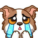 ppuy_cry