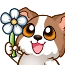 ppuy_flower