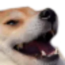 kekw