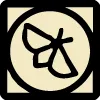 moth moth