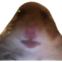 FFstare