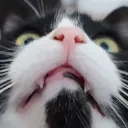 MilesFear MilesFear