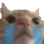 cattears