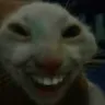 xdd