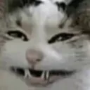 muehehe muehehe