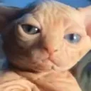 uglybb uglybb
