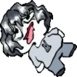 frangi9Bocchi frangi9Bocchi