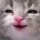 happycat