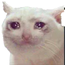 cry Discord Emoji