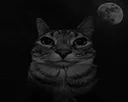 darkness darkness