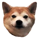 doggo