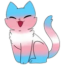 trans_cat trans_cat